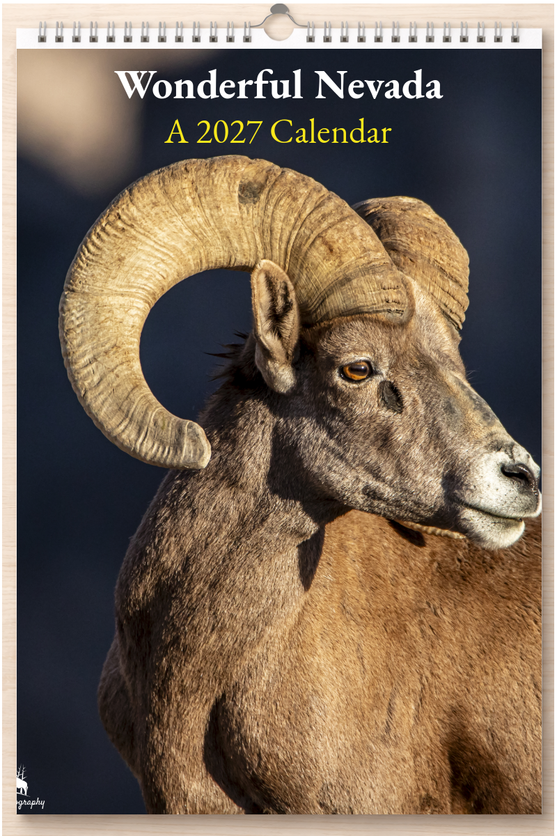 Wonderful Nevada: A 2027 Calendar
