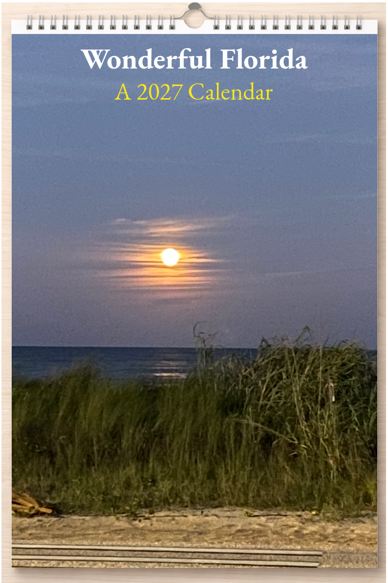 Wonderful Florida: A 2027 Calendar