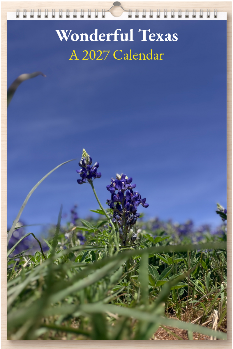 Wonderful Texas: A 2027 Calendar