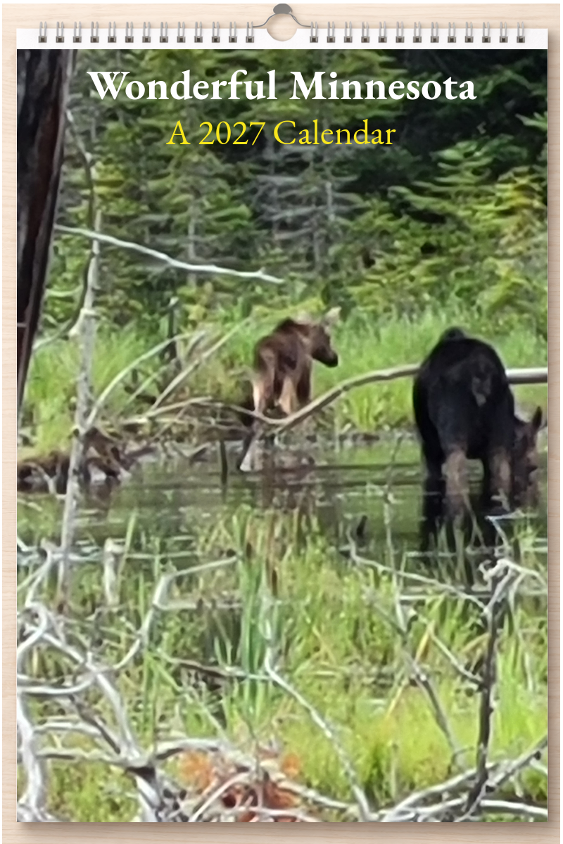 Wonderful Minnesota: A 2027 Calendar