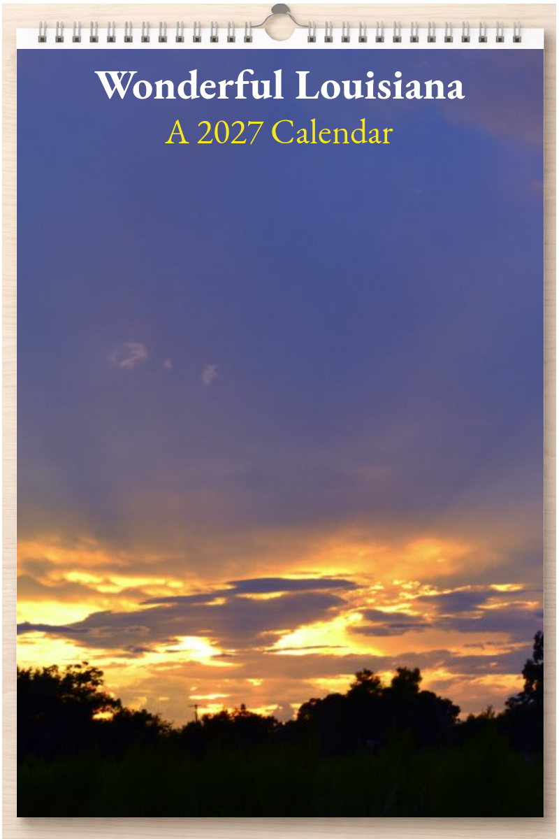 Wonderful Louisiana: A 2027 Calendar