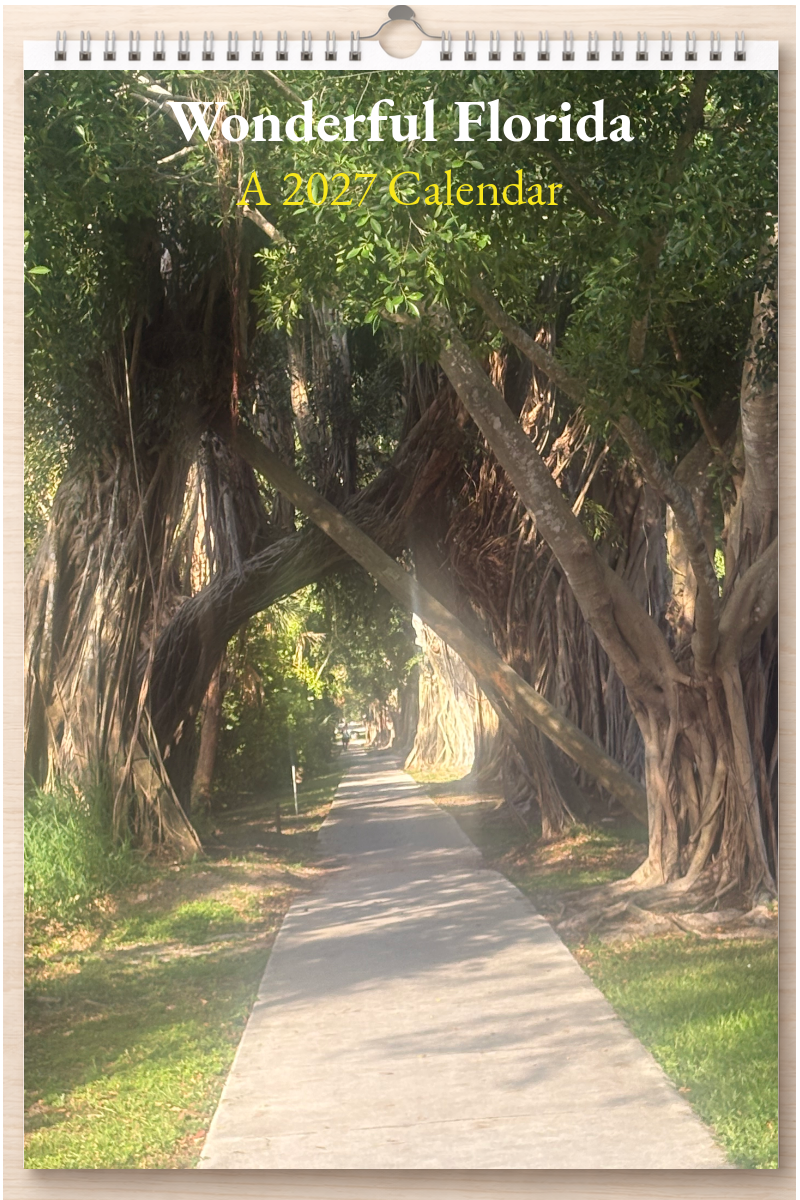 Wonderful Florida: A 2027 Calendar