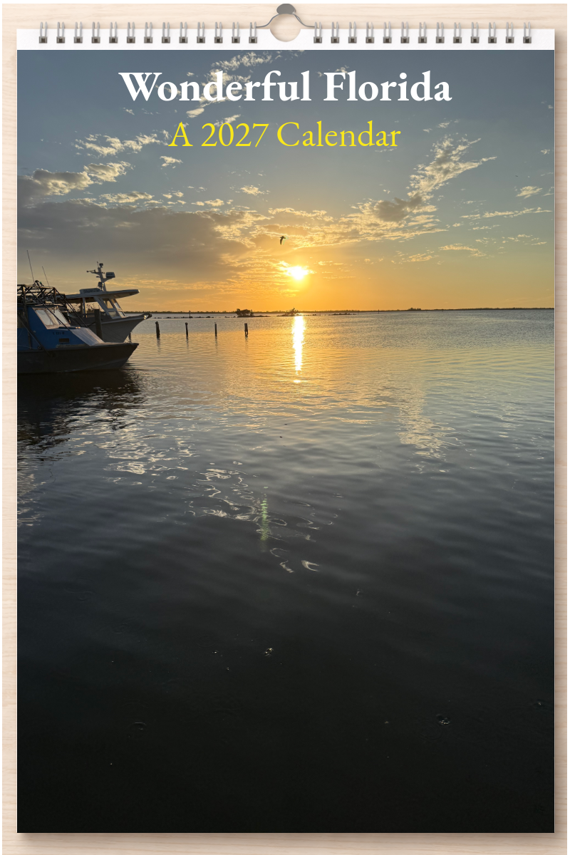 Wonderful Florida: A 2027 Calendar