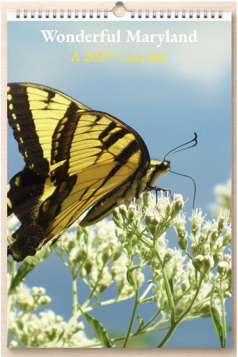Wonderful Maryland: A 2027 Calendar