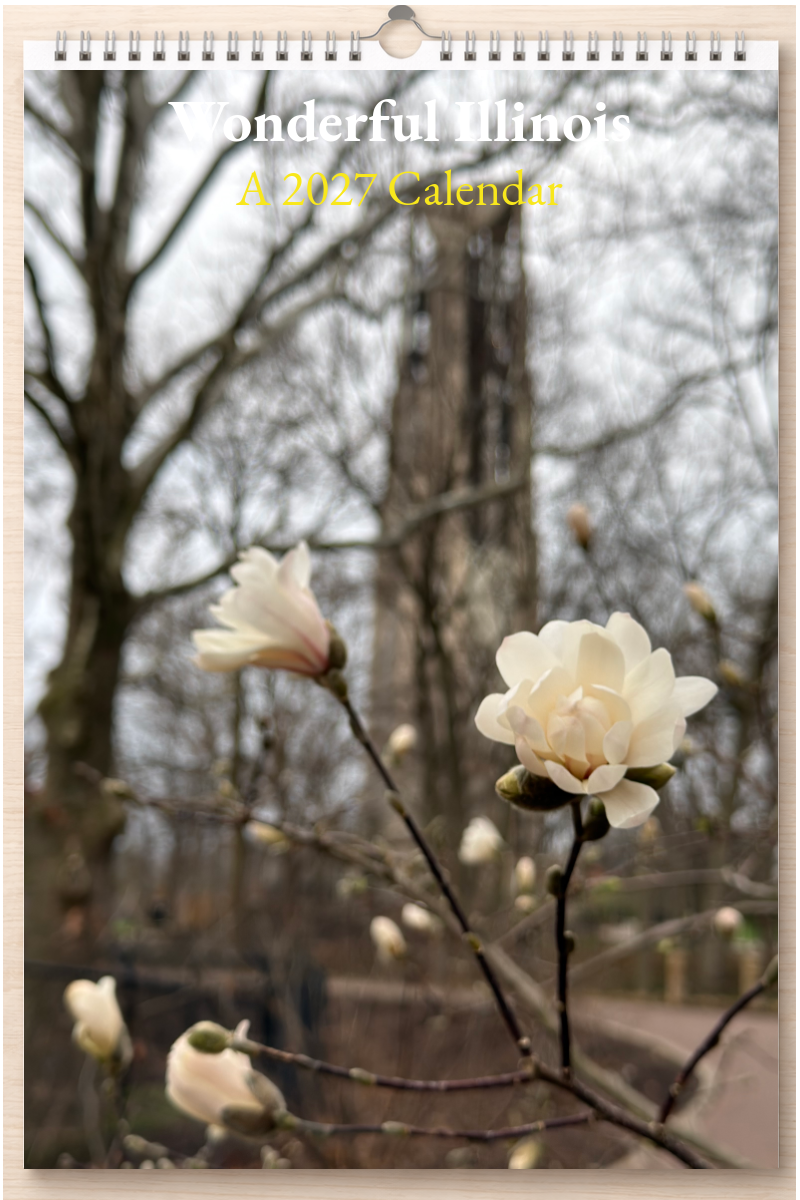 Wonderful Illinois: A 2027 Calendar