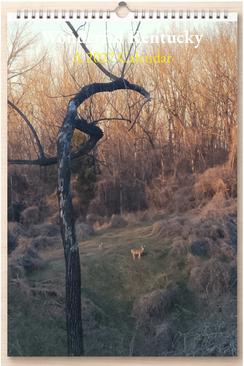 Wonderful Kentucky: A 2027 Calendar
