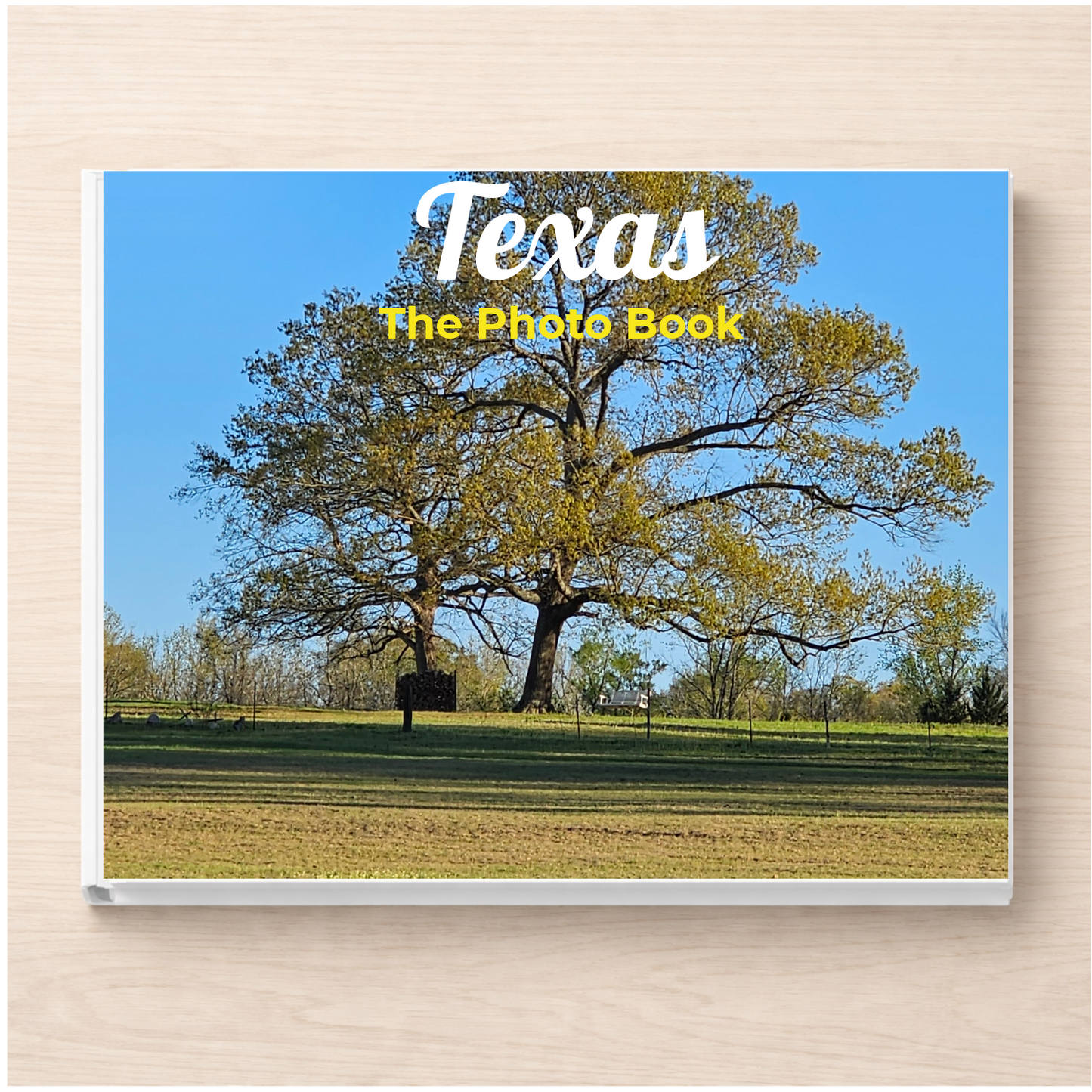 Texas: The Photo Book
