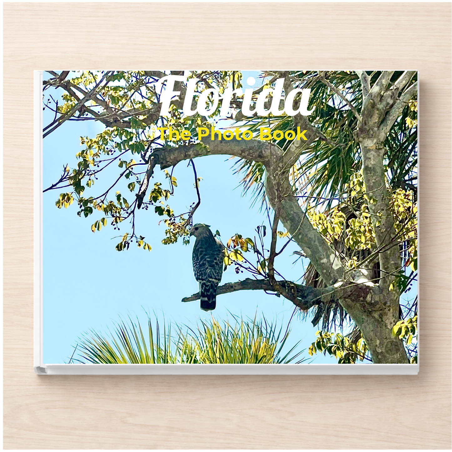 Florida: The Photo Book