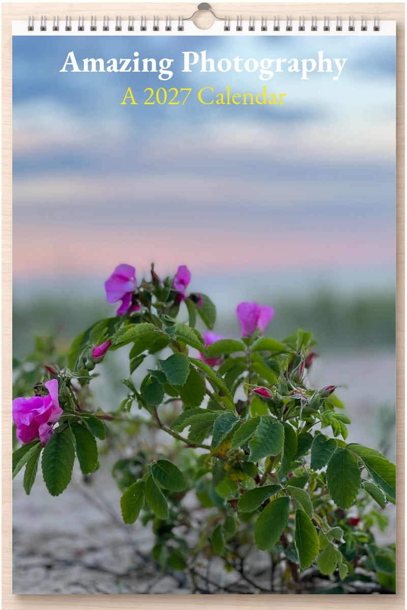 Amazing Photography: A 2027 Calendar