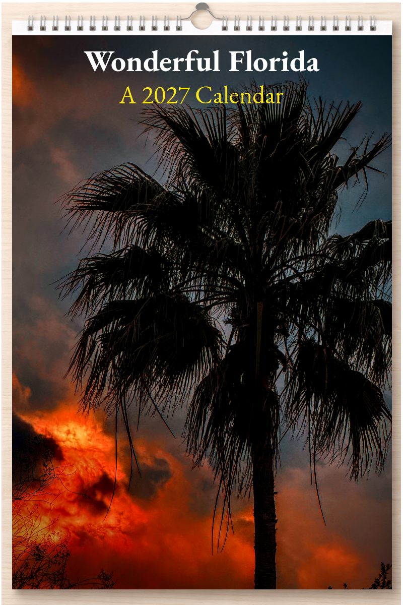 Wonderful Florida: A 2027 Calendar