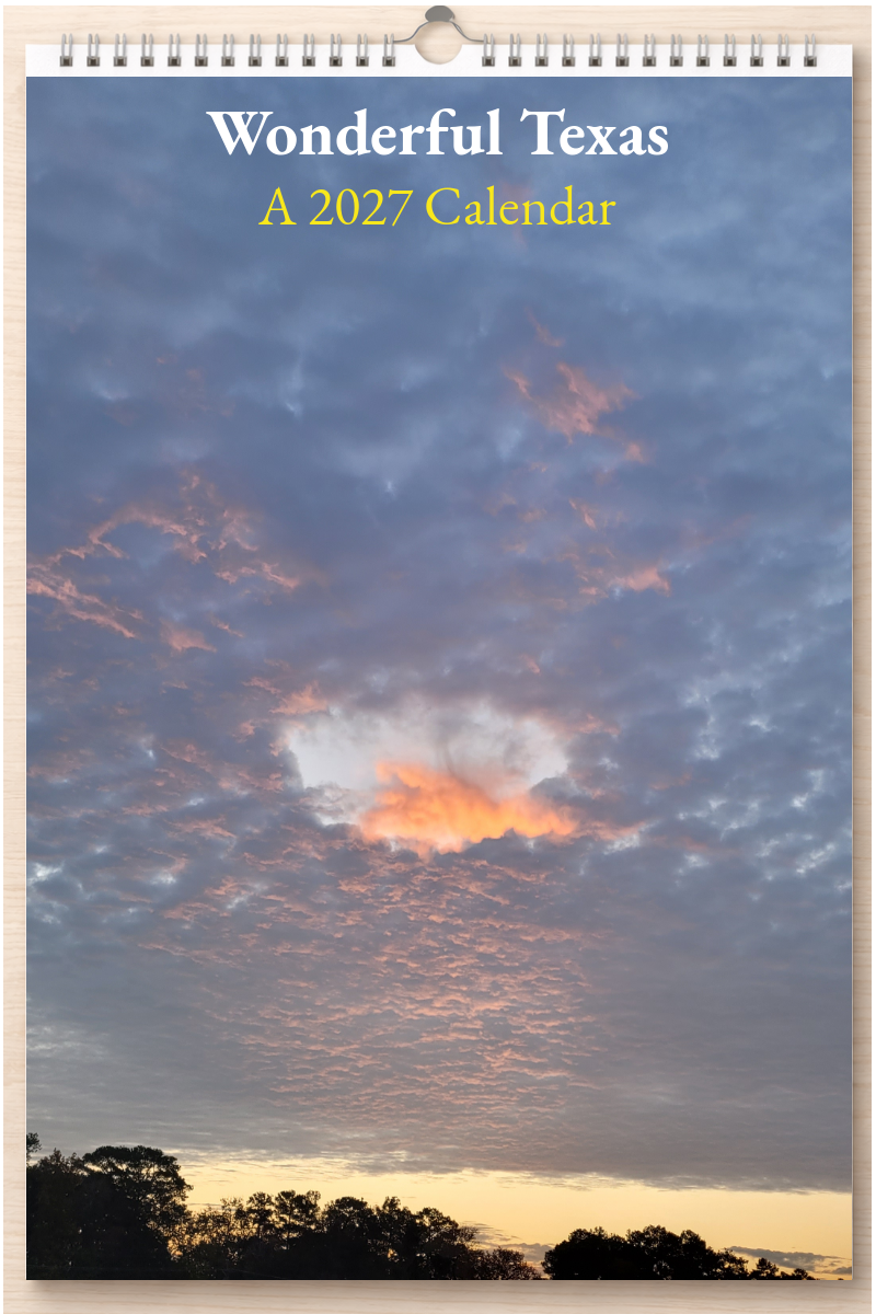 Wonderful Texas: A 2027 Calendar