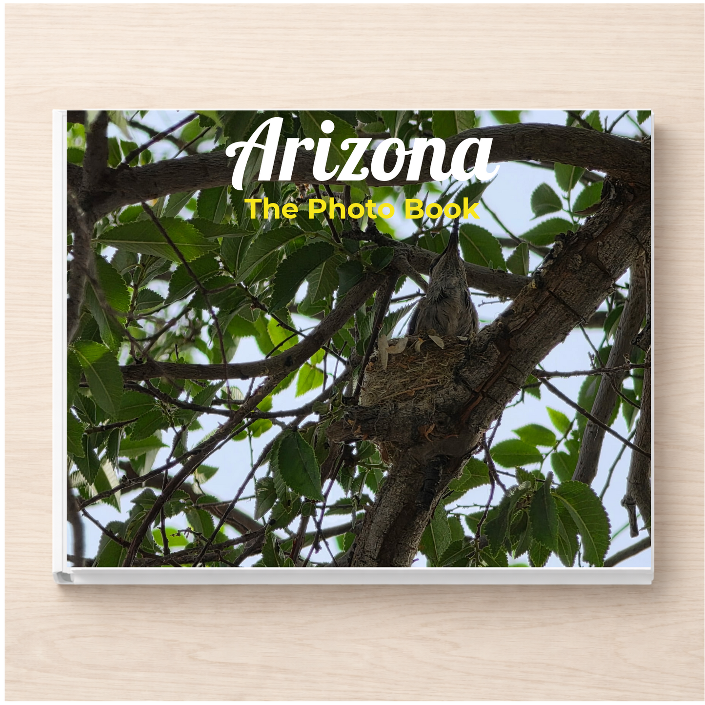 Arizona: The Photo Book