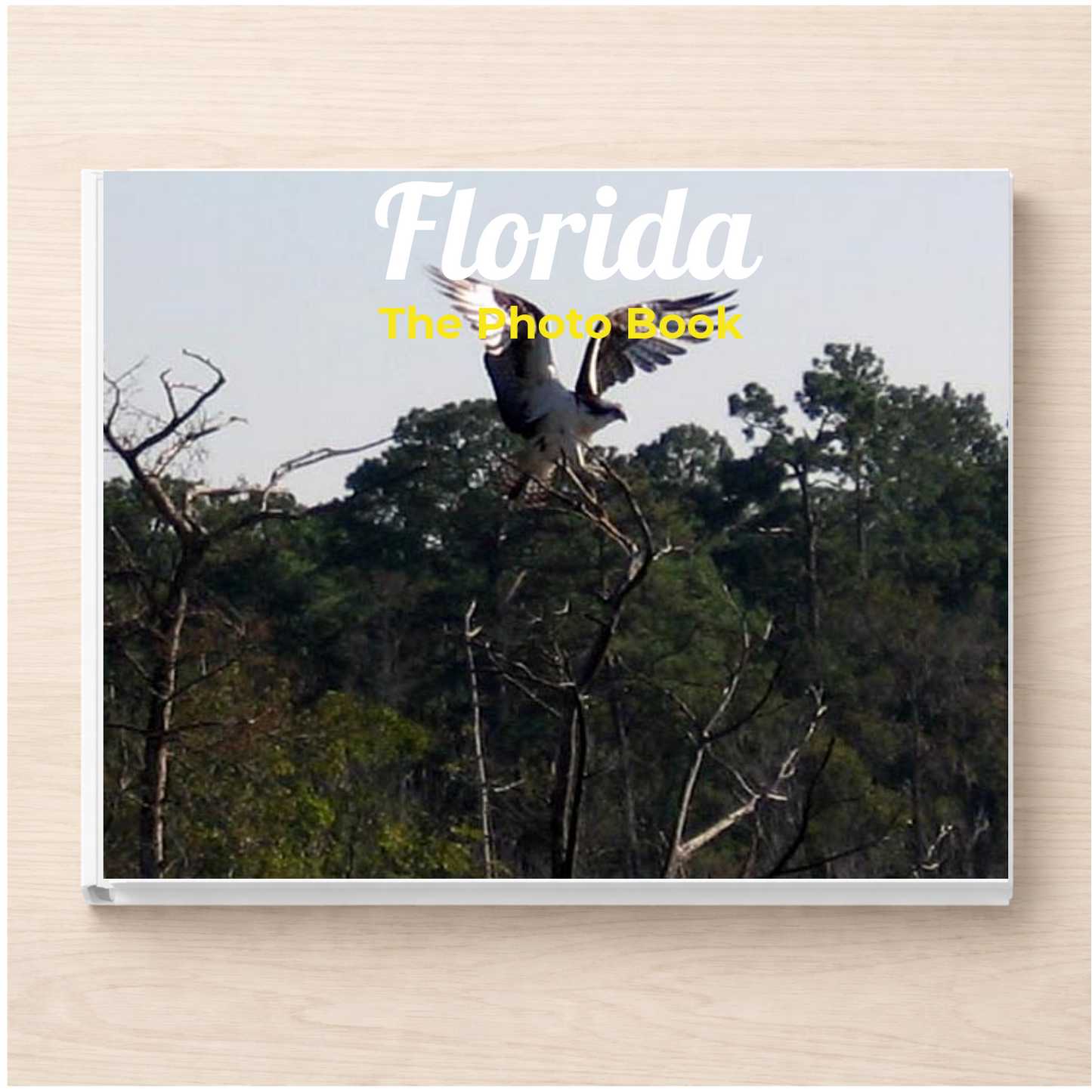 Florida: The Photo Book