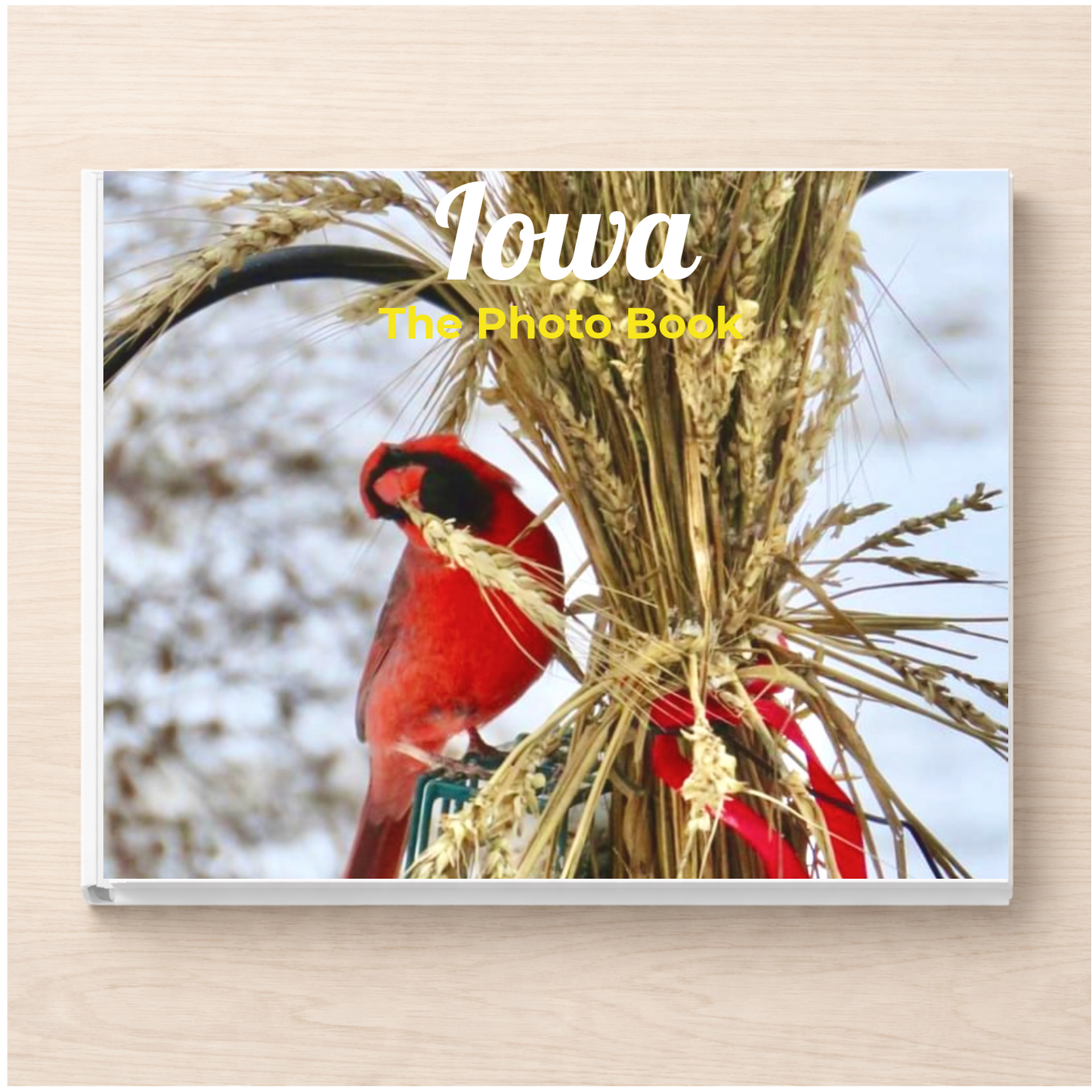 Iowa: The Photo Book