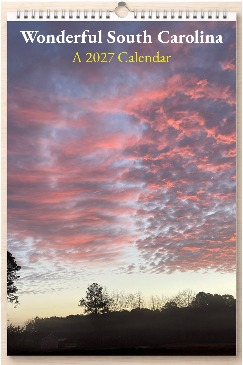 Wonderful South Carolina: A 2027 Calendar