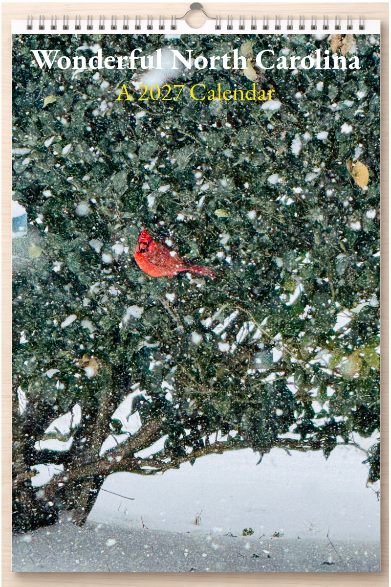 Wonderful North Carolina: A 2027 Calendar