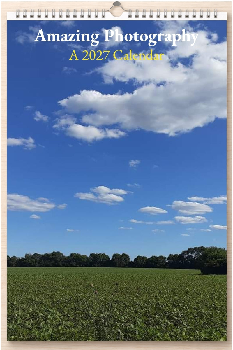 Amazing Photography: A 2027 Calendar