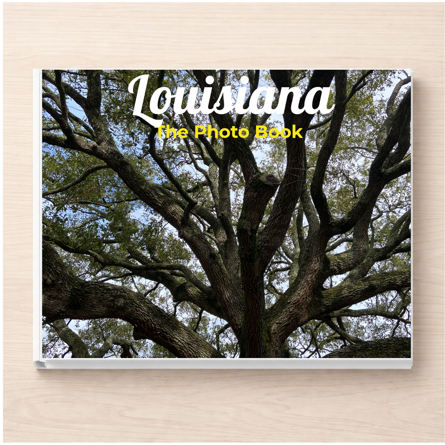 Louisiana: The Photo Book