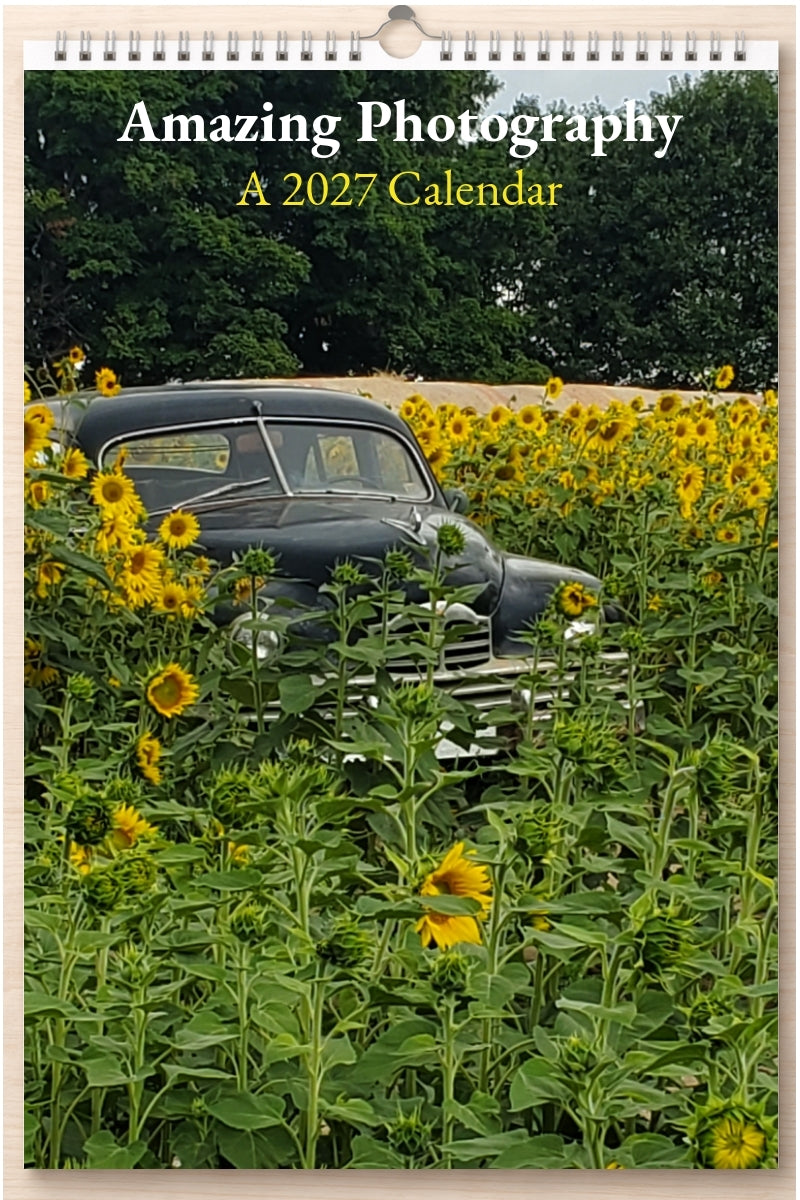 Amazing Photography: A 2027 Calendar