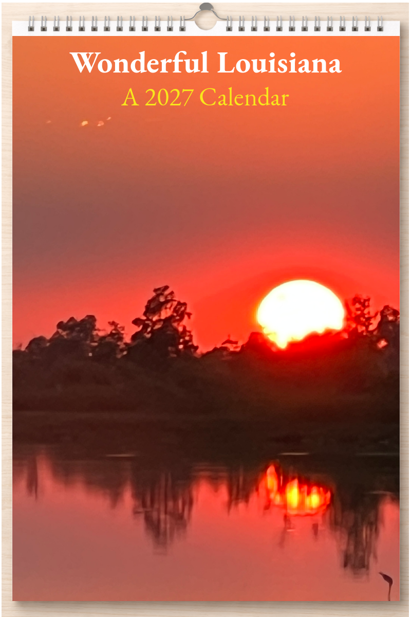 Wonderful Louisiana: A 2027 Calendar