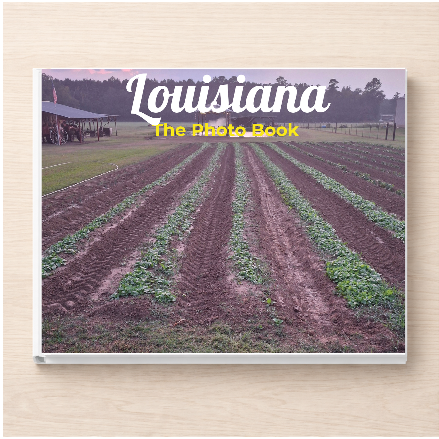 Louisiana: The Photo Book