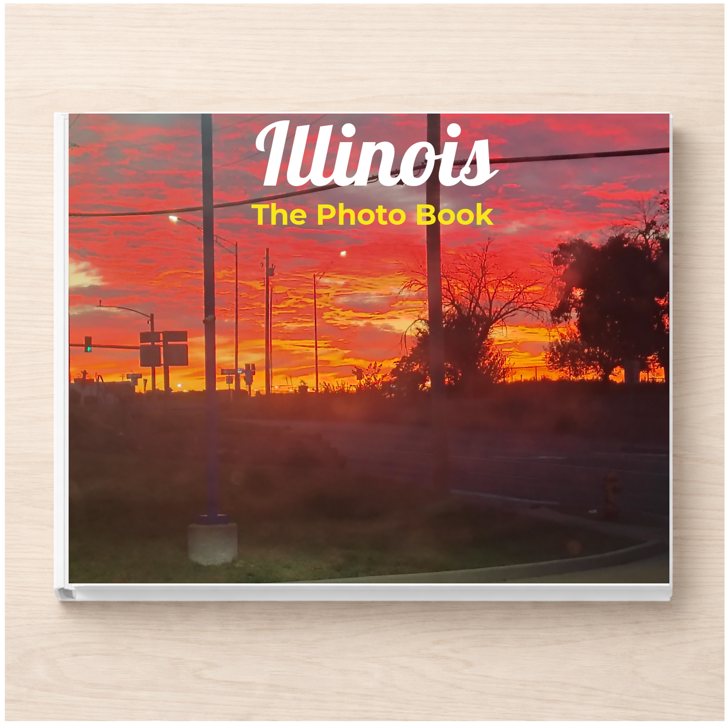 Illinois: The Photo Book