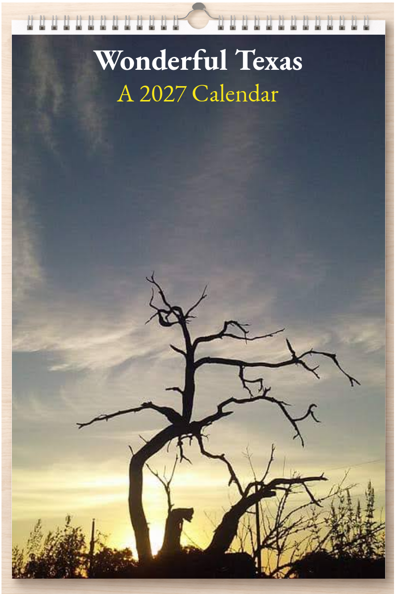 Wonderful Texas: A 2027 Calendar