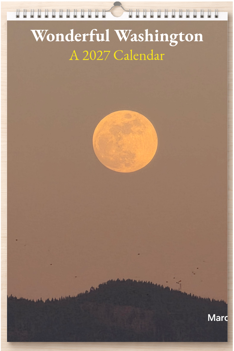 Wonderful Washington: A 2027 Calendar
