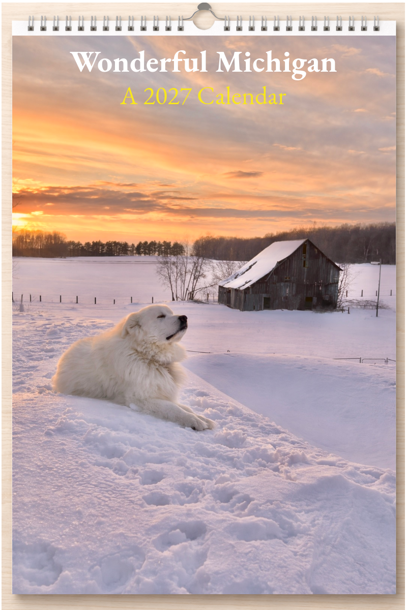 Wonderful Michigan: A 2027 Calendar