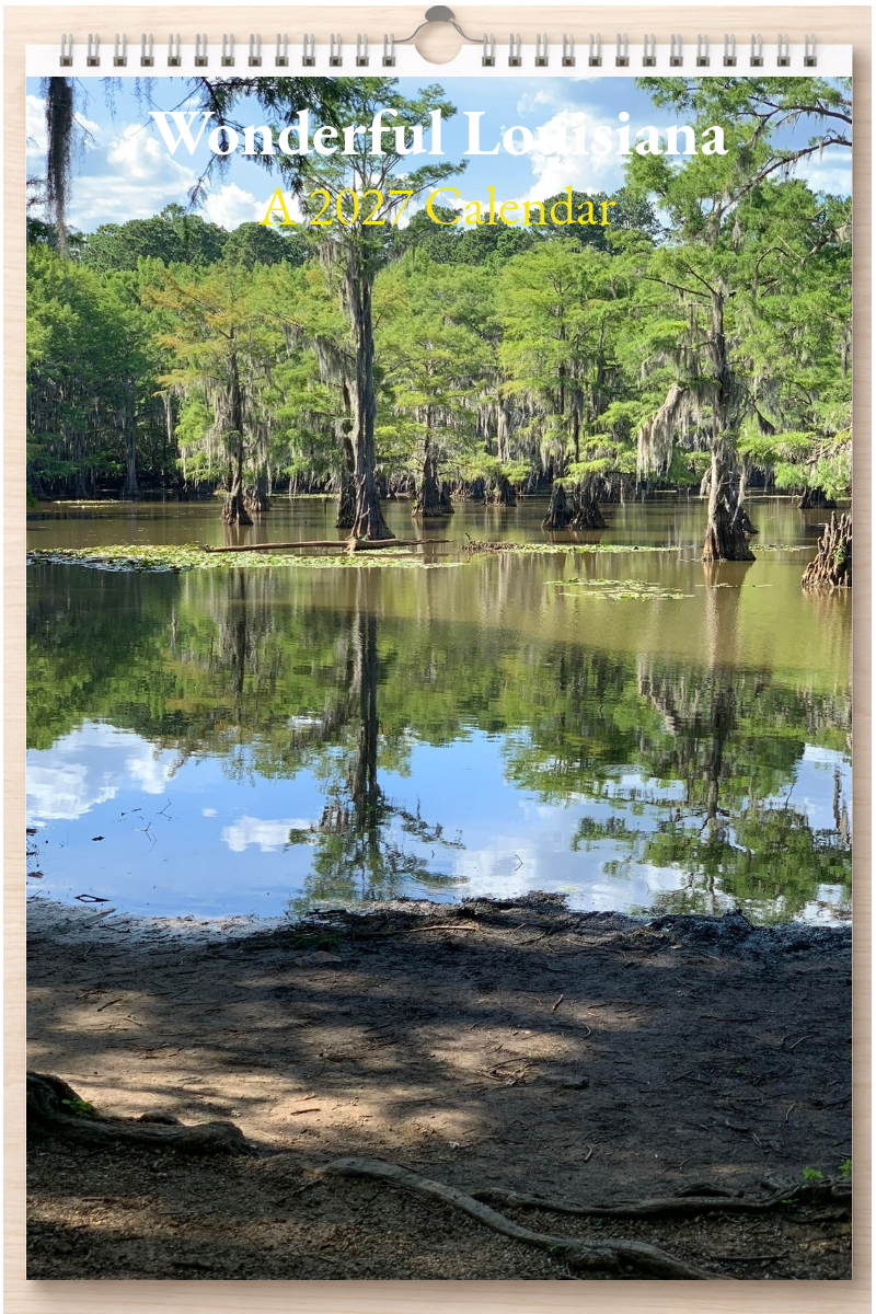 Wonderful Louisiana: A 2027 Calendar