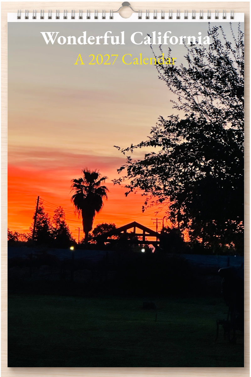 Wonderful California: A 2027 Calendar