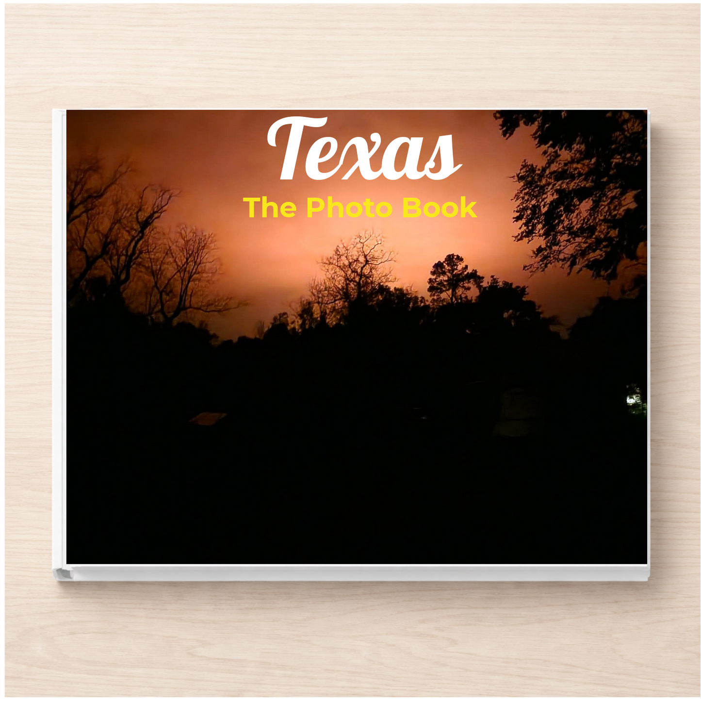 Texas: The Photo Book