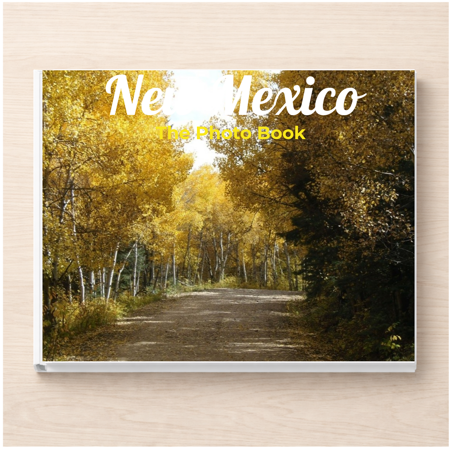 New Mexico: The Photo Book