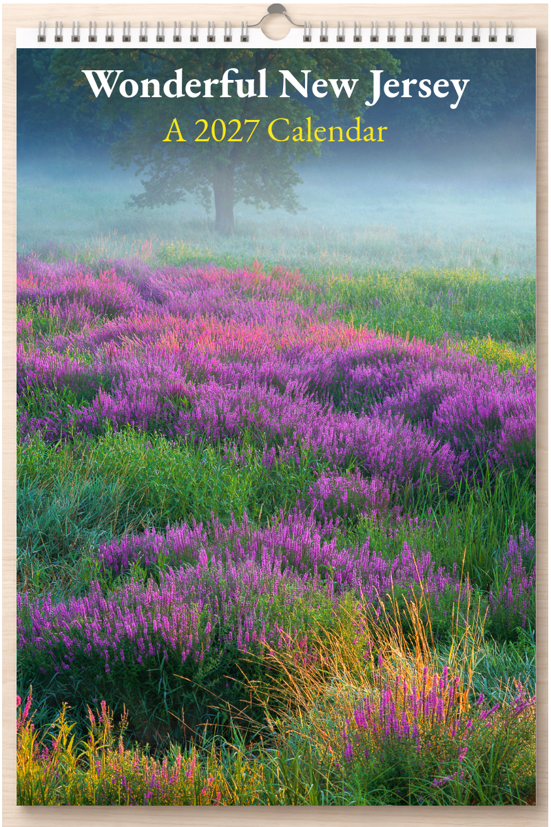 Wonderful New Jersey: A 2027 Calendar
