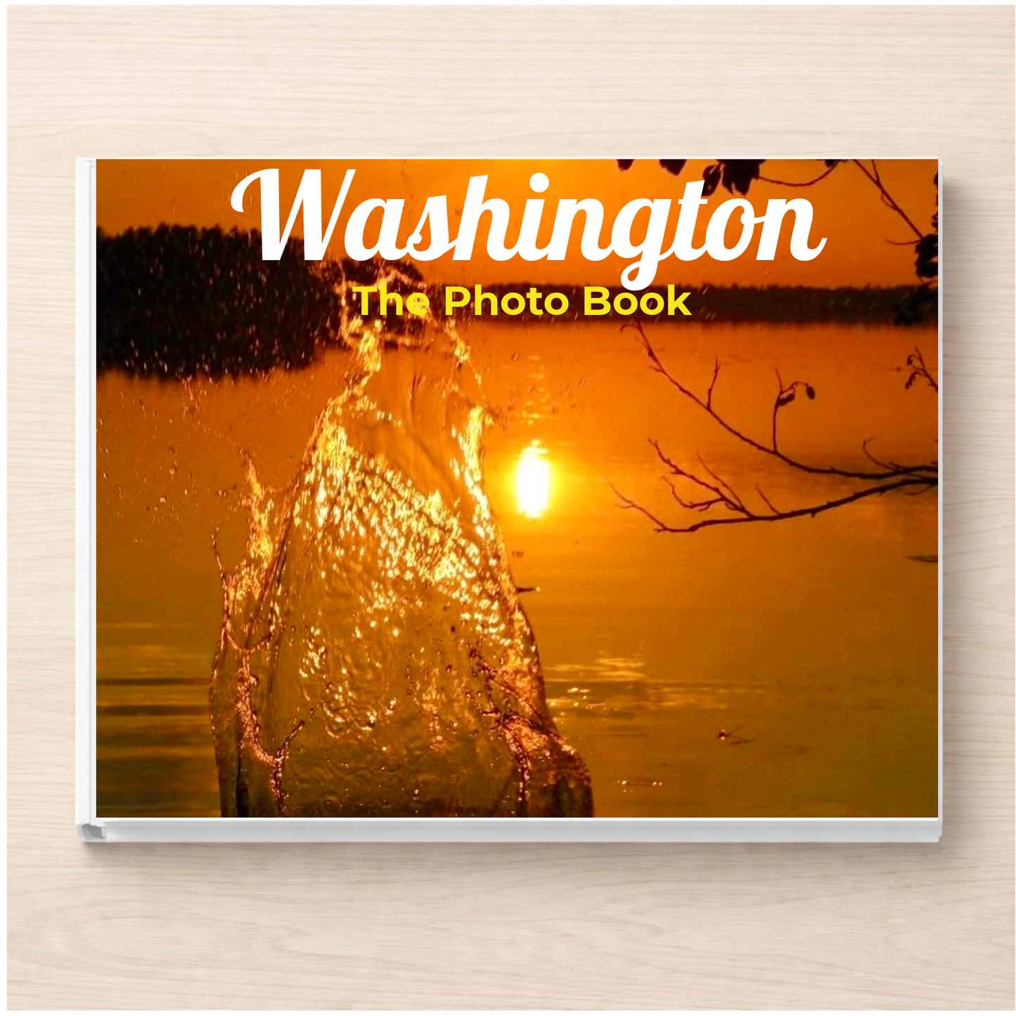 Washington: The Photo Book