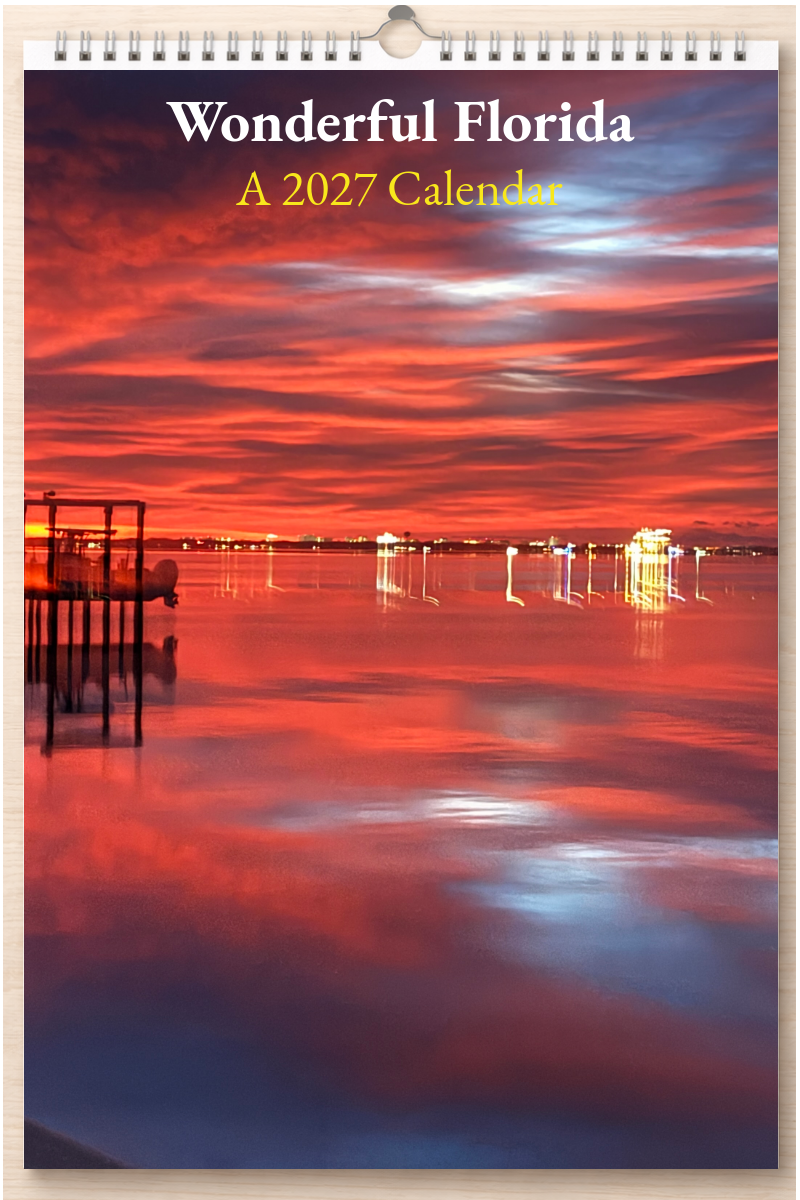 Wonderful Florida: A 2027 Calendar