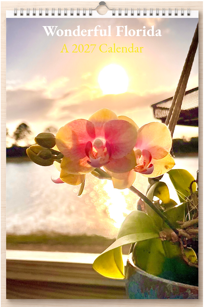 Wonderful Florida: A 2027 Calendar