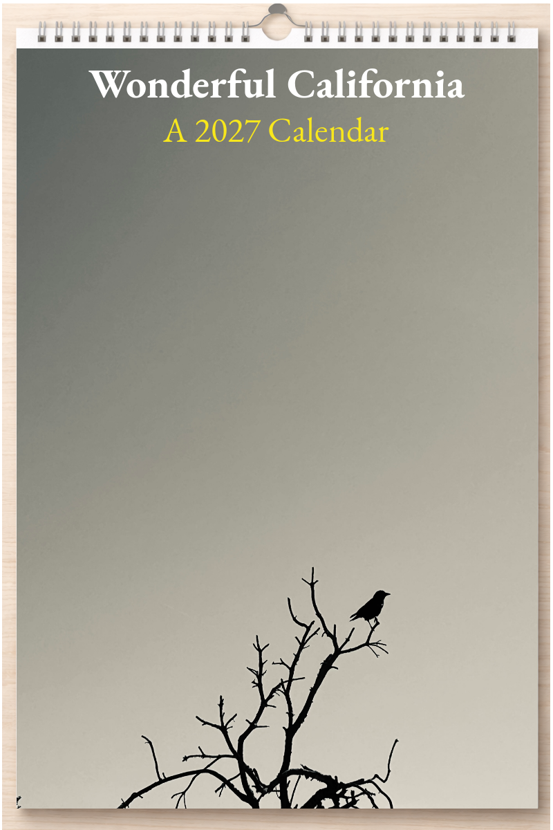 Wonderful California: A 2027 Calendar