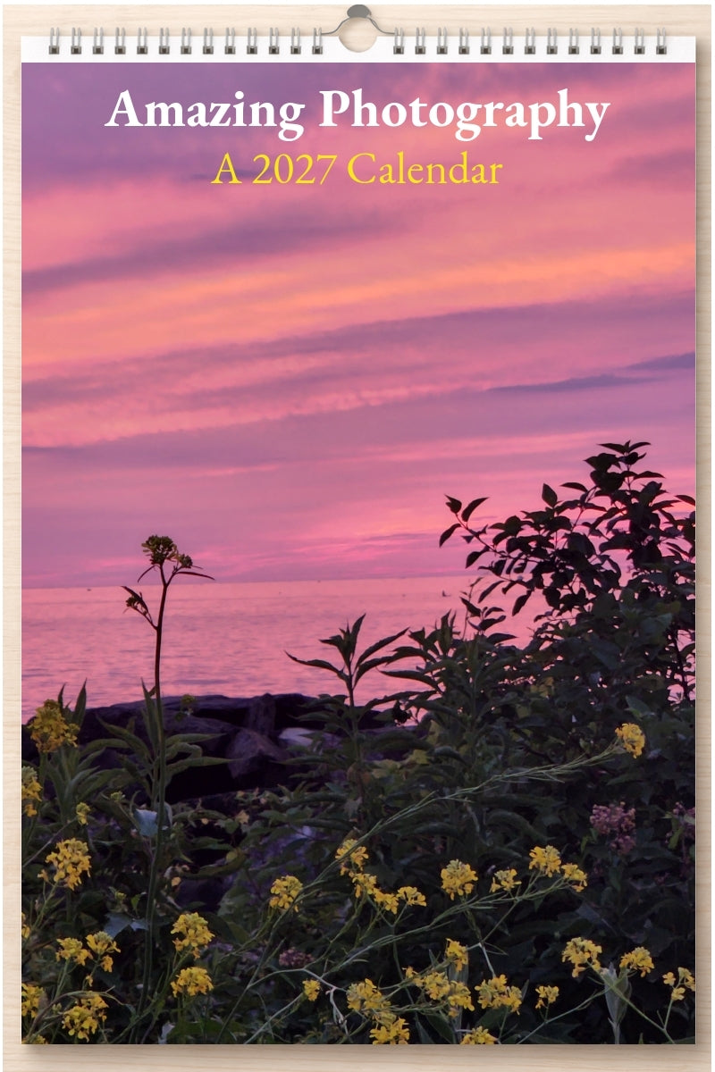 Amazing Photography: A 2027 Calendar