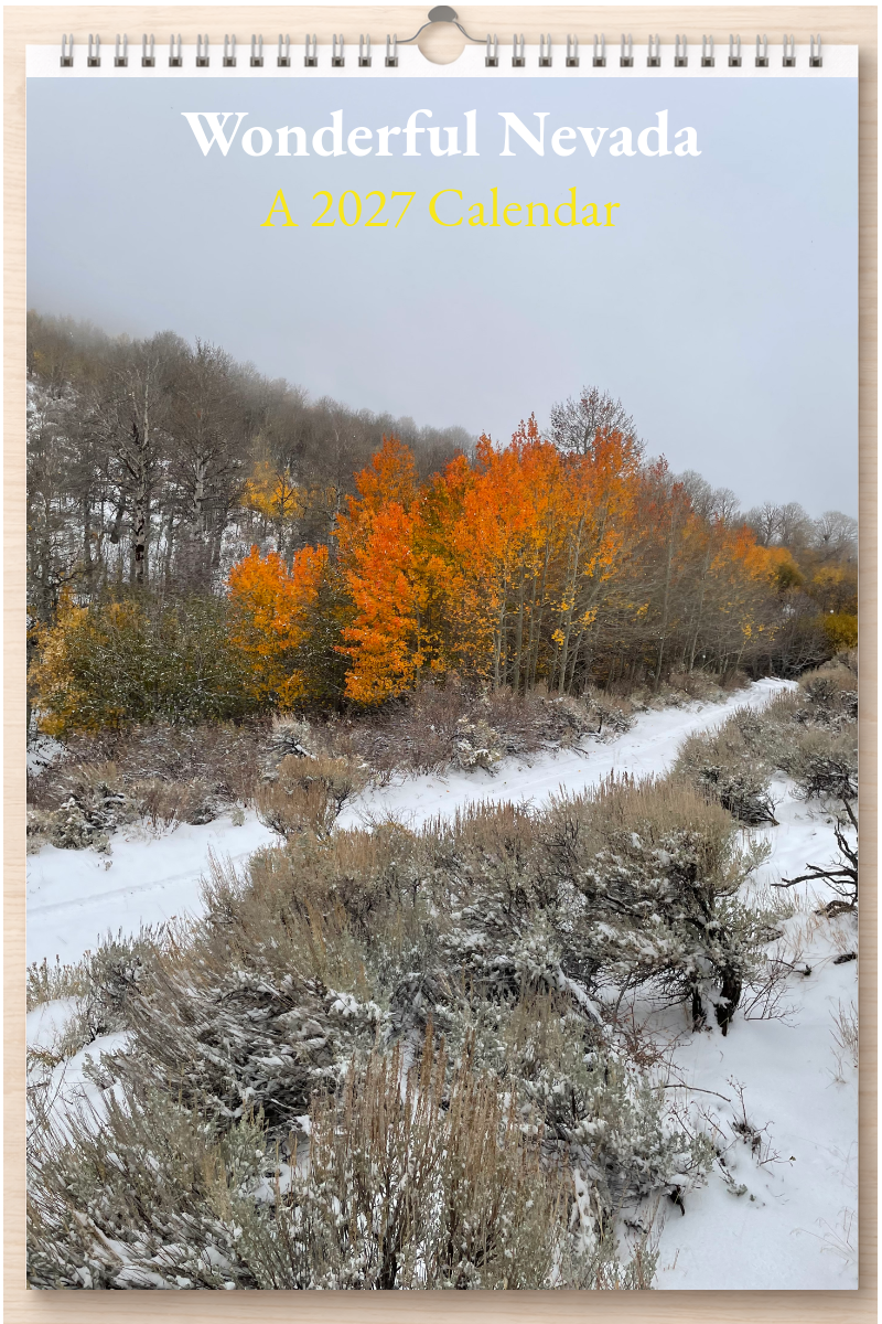 Wonderful Nevada: A 2027 Calendar