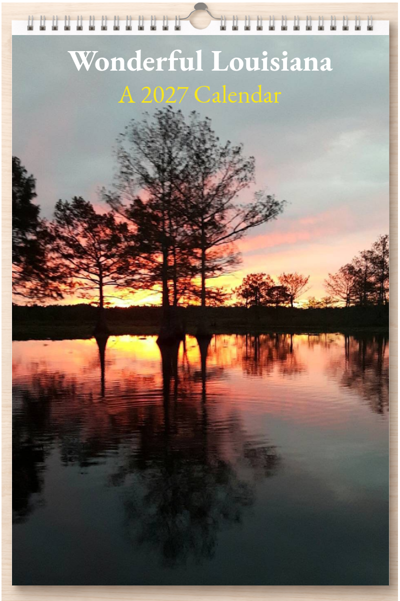 Wonderful Louisiana: A 2027 Calendar