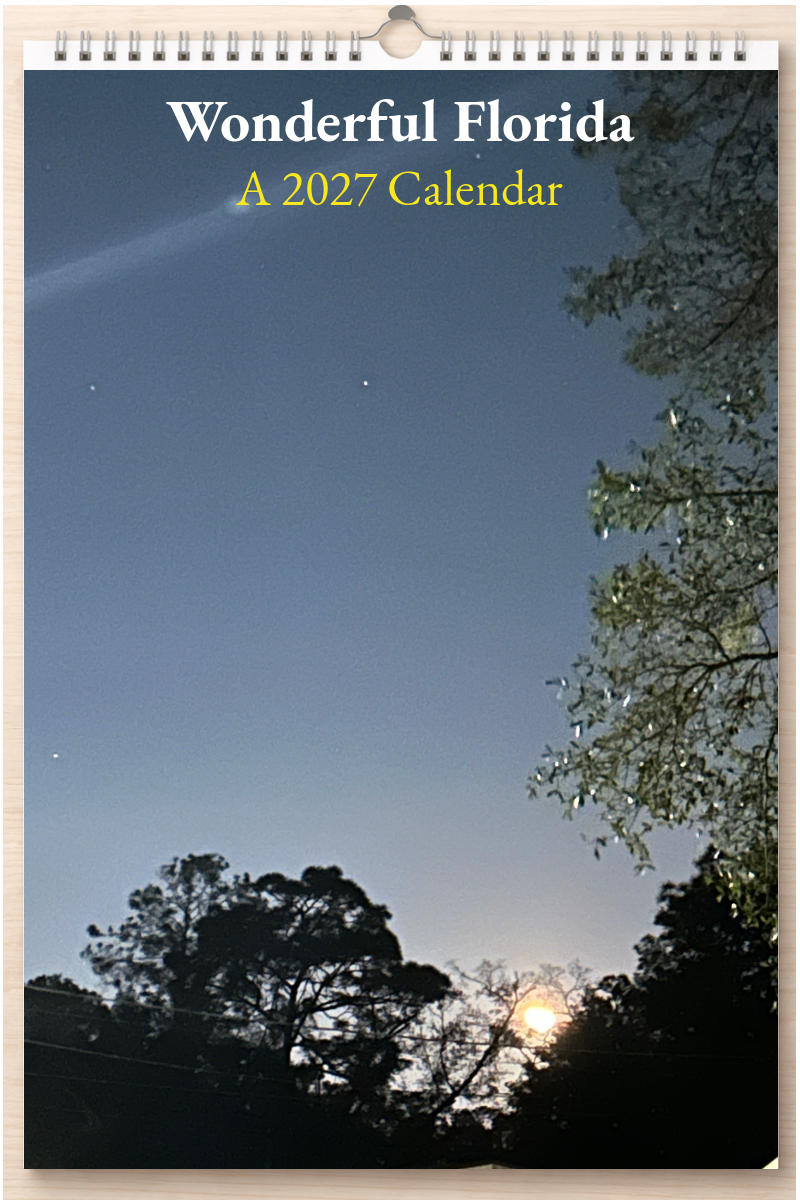 Wonderful Florida: A 2027 Calendar