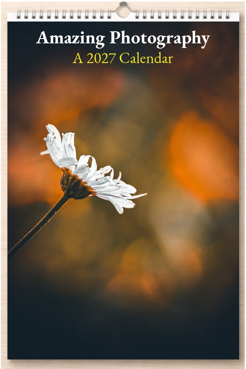 Amazing Photography: A 2027 Calendar