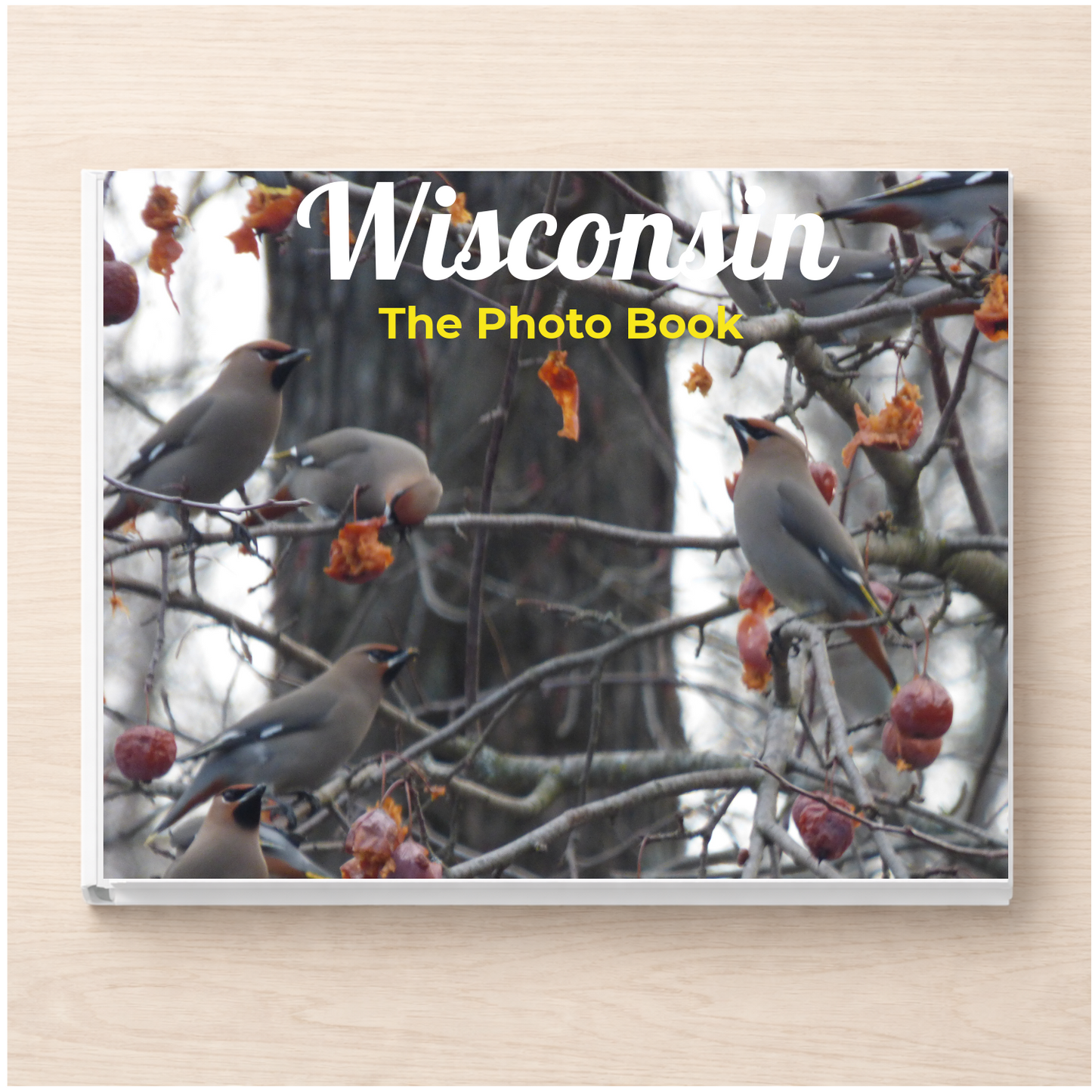 Wisconsin: The Photo Book