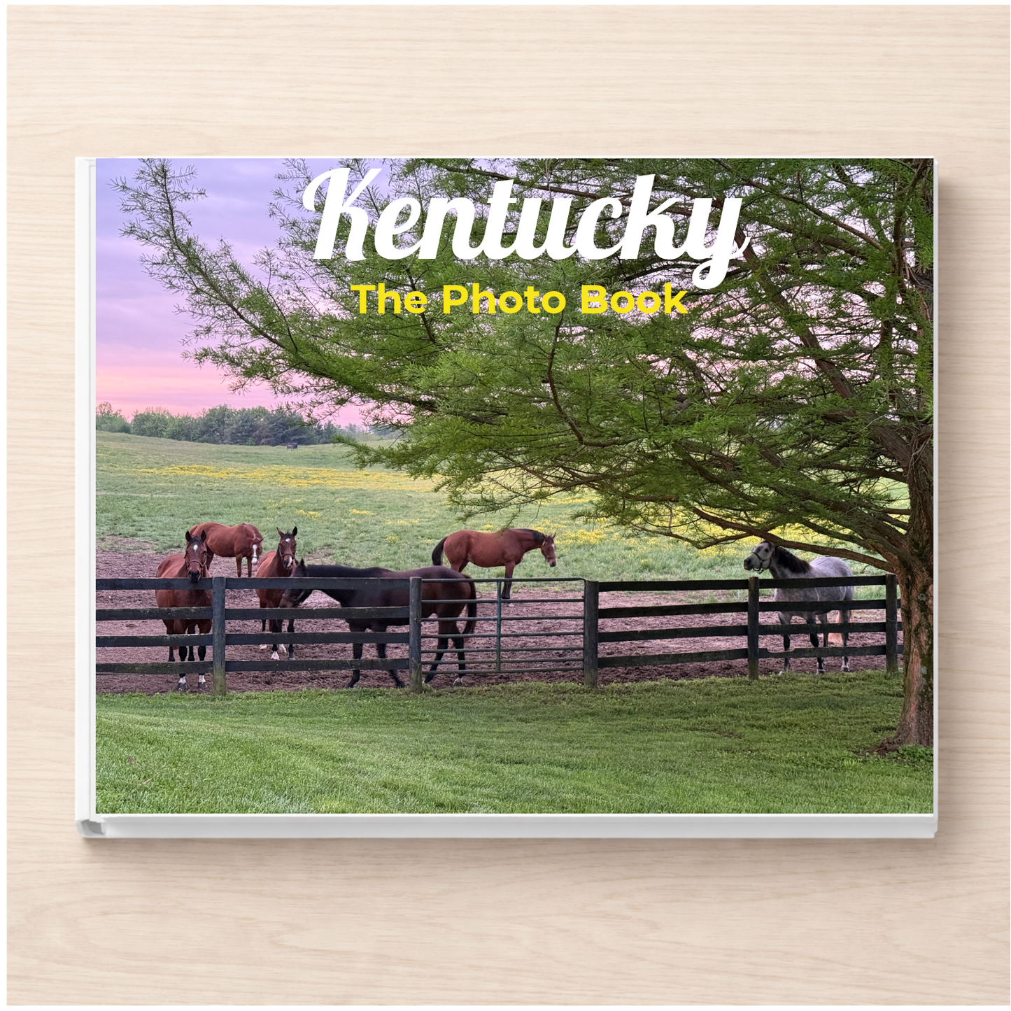Kentucky: The Photo Book