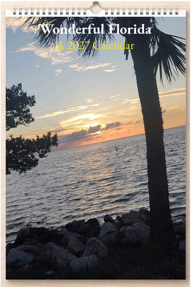 Wonderful Florida: A 2027 Calendar