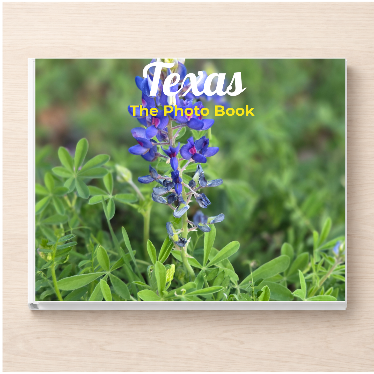 Texas: The Photo Book