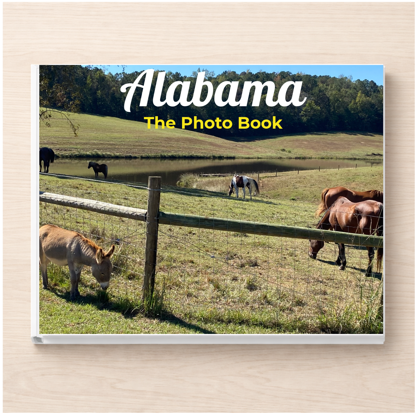 Alabama: The Photo Book