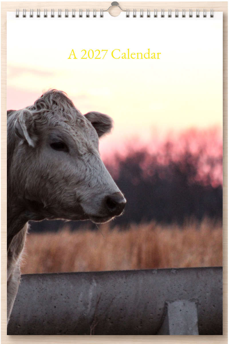 Wonderful Oklahoma: A 2027 Calendar