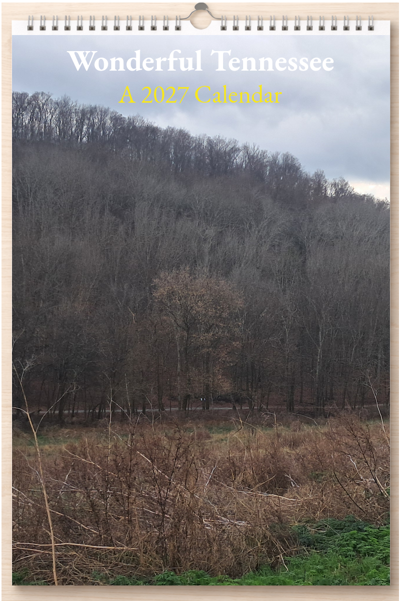 Wonderful Tennessee: A 2027 Calendar
